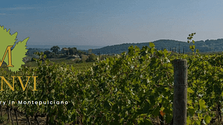 Il Quercione by Manvi