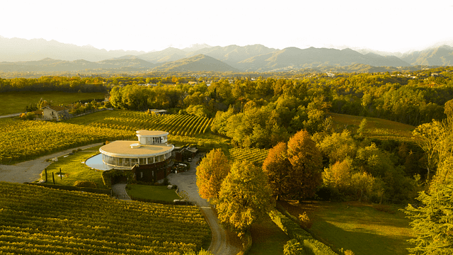Degustazione Verticale Vespolina | Degustazione di vini presso la Cantina Pietro Cassina