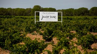 Experience Our Vineyard and Wine Tasting