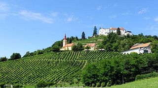 Dégustation de vins et visite à Winkler-Hermaden