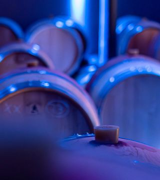 Bordeaux Blend & Sip Masterclass