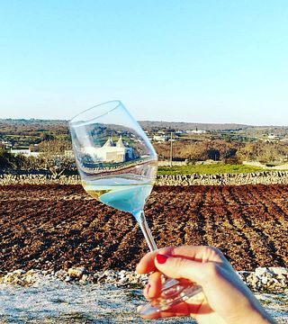 Puglia’s Vineyard Tales: Wine, Oil & Trulli Flavors