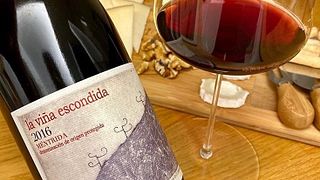 Cata y recorrido de vinos populares en Bodegas Canopy