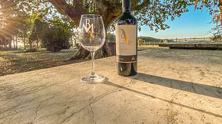 Weinprobe und Tour in Barras de Mahoma