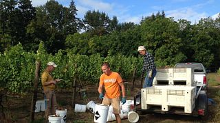 Weinprobe bei Hanson Vineyards