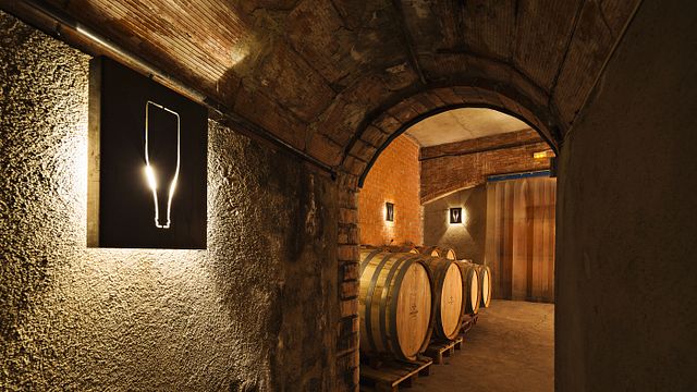 Organic Catalonia: Vins El Cep Wine Tour & Tasting