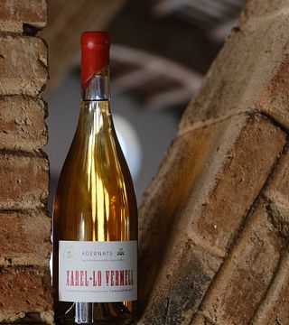 Dégustation gastronomique de saucisses et de fromages à Vinicola De Nulles