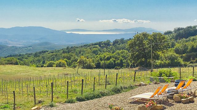 Tour and Tasting Deluxe 3 wines Grand Crew