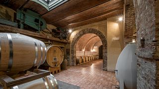 Historia, konst och vin på Fattoria del Colle