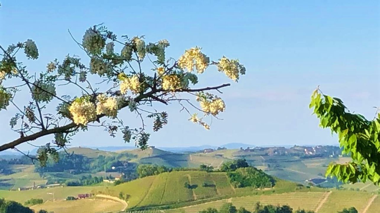Weinprobe und Tour in der Antica Cascina Dei Conti Di Roero