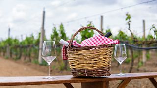 Puglia Vineyard Picnic for Two | Cantina Petrelli