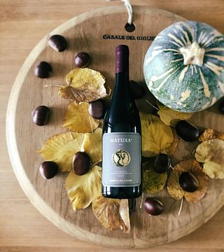 Dégustation de vins et visite à Casale Del Giglio Società Agricola
