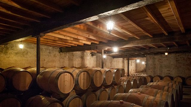 Degustação de vinhos e visita aos vinhedos no Château Bardins