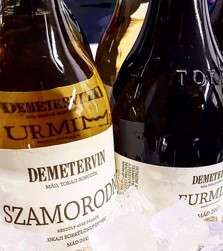 Cata de vinos y visita guiada en Demetervin