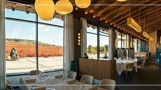 En tur genom vingårdarna och lunch på restaurang Puntido