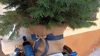 Valpolicella em todo lugar