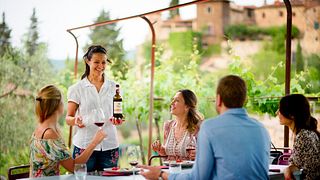 Tuscan Wine & Vineyard Tour at Montefioralle