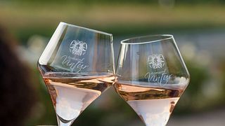 Vinprovning och rundtur på Domaine Vintur