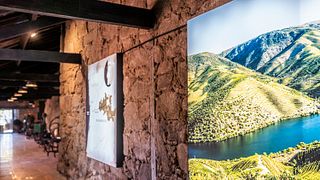 Burmester Wine Cellar: A Legacy of Excellence