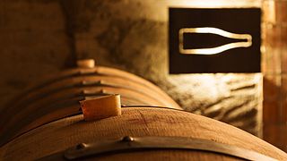 Vins El Cep: A Legacy of Quality Wines