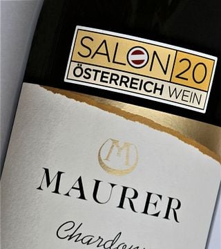 Degustazione di vini in cantina, visita dei vigneti