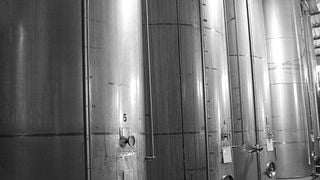 GUIDED TOUR + WINE PAIRING TASTING