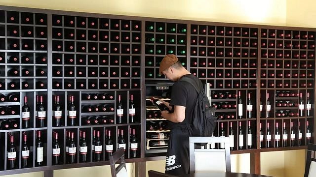 Tejo Vineyard Tour & Wine Tasting Delight