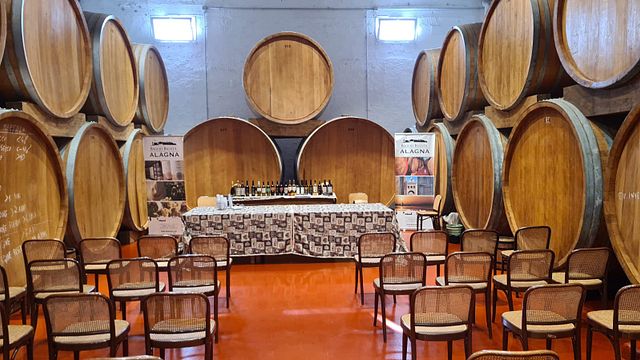 Wine Tasting and Tour at Alagna Vini