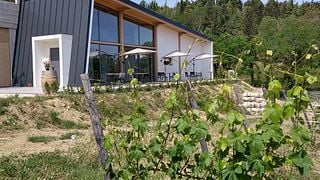 Eventos Gourmet de Vino en Vigna Della Cava