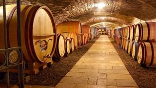 Domaines et Maison Famille Picard