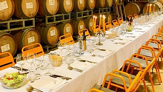 Group Dinner in Valdonica's Wine Cellar