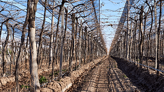 Degustação de vinhos e tour no Andeluz Organic Wine