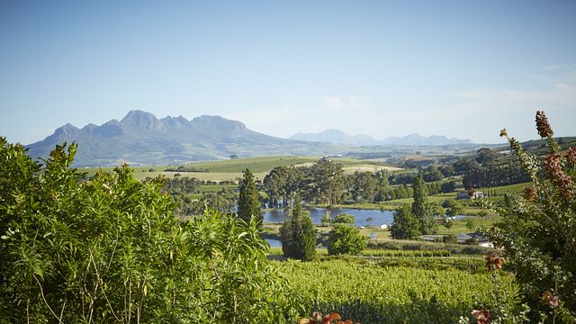Wein- und Speisekombinationen von SylvanVale