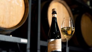 Sussex Sparkling Wine Tour & Tasting at Ridgeview