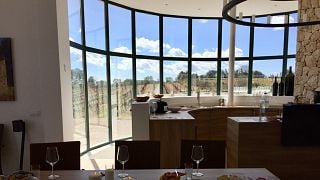 Cata de vinos y visita a la Bodega Son Campaner
