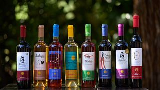 Rundtur och vinprovning på Kalogris Organic Winery