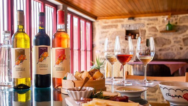 Visite Guidée et Dégustation de Vin Classique
