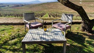 Beaujolais Wine Journey at Domaine de la Ronze