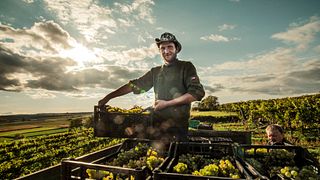 Weingut Andreas Schmid