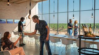 Degustazione di vini e visita alla Finca Montepedroso