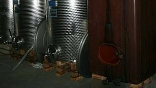 Degustazione di vini premium al Domaine Thill