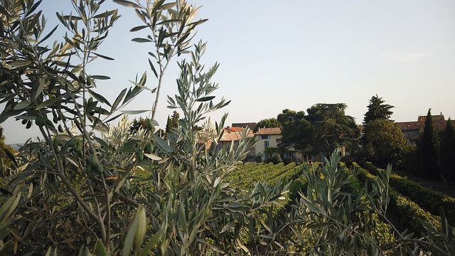 Dégustation et visite de vins au Domaine de la Senche