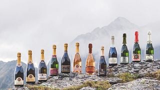 Weinprobe und Tour in Arunda