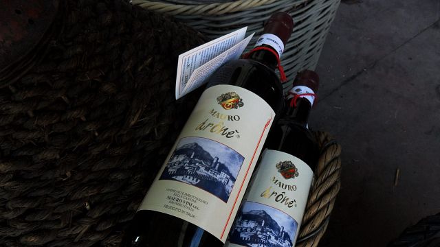Dégustation de vins et visite à l'Azienda Agricola Mauro Vini