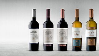 Prova de Vinhos e Tour na Sovibor - Sociedade De Vinhos De Borba
