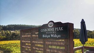 Dégustation de vins et visite populaires au domaine viticole Gisborne Peak