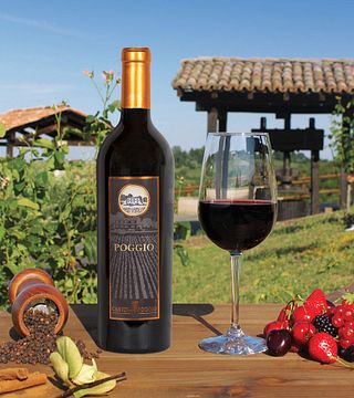 Cantina Il Poggio
