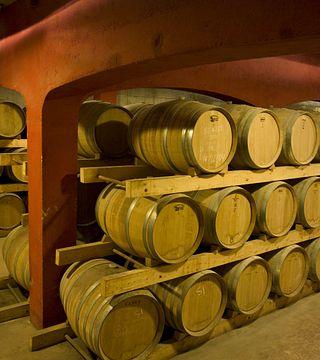 Visita guiada e degustação de 5 vinhos com delicatessen local