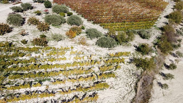 Baronia Della Pietra