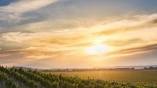 Karas Terroir Experience
